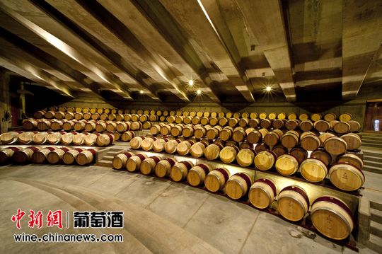 蒙特斯酒庄的酒窖