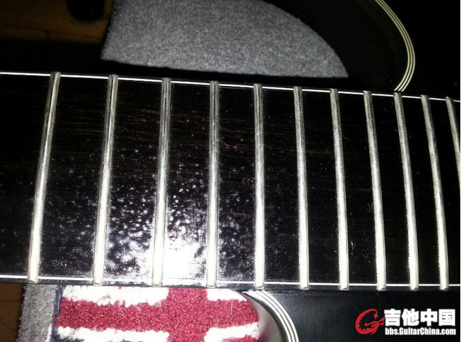 MusicNomad 乐器养护测评