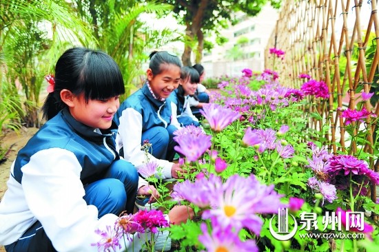 园艺社团的学生正在照看花卉 戴涵琦 摄