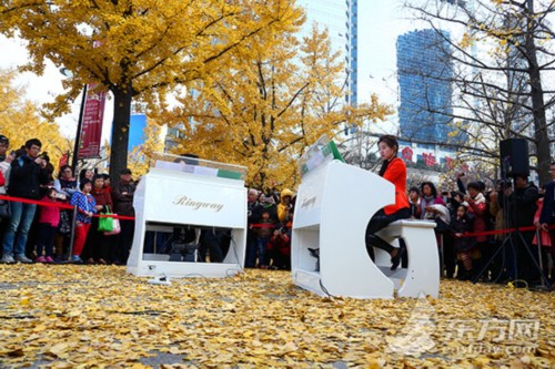 金黄落叶伴优美旋律 “银杏音乐会“在沪浪漫上演