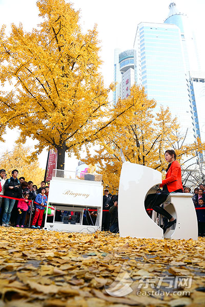金黄落叶伴优美旋律 “银杏音乐会“在沪浪漫上演