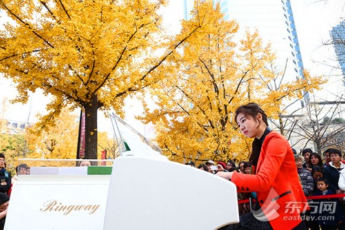 金黄落叶伴优美旋律 “银杏音乐会“在沪浪漫上演