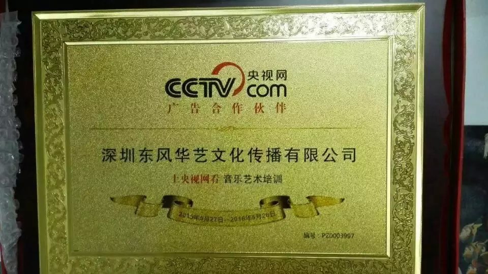 深圳东风华艺声乐及乐器培训 央视网推荐机构_zgxwzx.com.cn