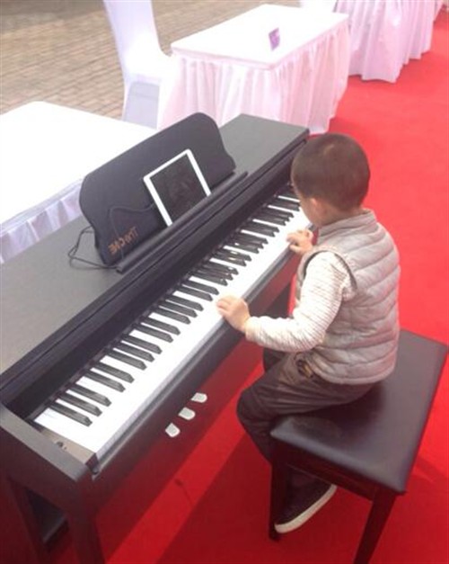 蛋年智能硬件创新大会 智能钢琴等大破吉尼斯纪录 