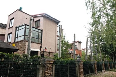 奥运冠军被指私砍树木