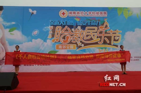 约会南郊公园胎教民乐节1000名“虎妈猫爸”来狂欢