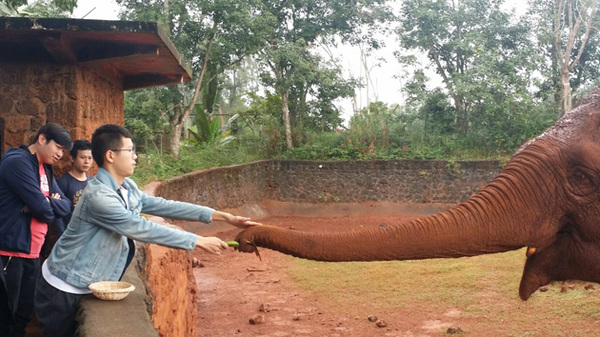 中国青年爱乐乐团演奏家在畅游海南热带野生动植物园中寻找音乐灵感