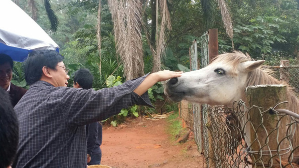 中国青年爱乐乐团演奏家在畅游海南热带野生动植物园中寻找音乐灵感