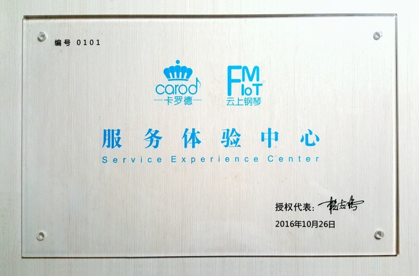 天猫双十一，乐器行业小二亲临乐展体验热销品牌产品