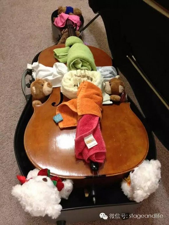 以后音乐家携带乐器搭乘航班会越来越便利？