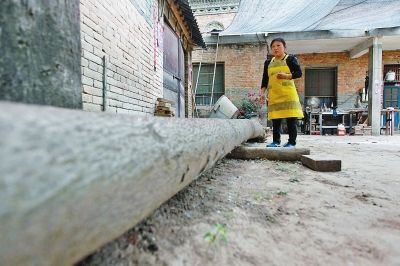 河南兰考“乐器村”：这里的泡桐会呼吸