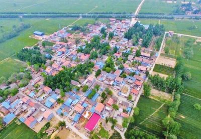 河南兰考“乐器村”：这里的泡桐会呼吸