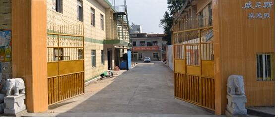 乐器行业变革惠州城市发力威尼斯吉他脱颖而出