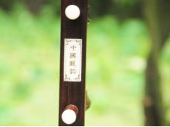 北京盛世中翔文化经典携民乐出展PALM乐器展