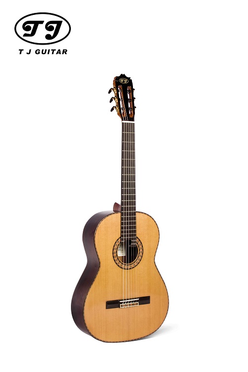 河南天骄精密科技将携自己的特色吉他出展