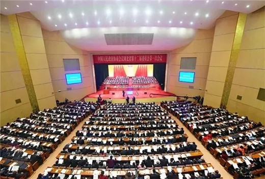 柏斯音乐集团总裁吴天延当选湖北省第十二届政协常委