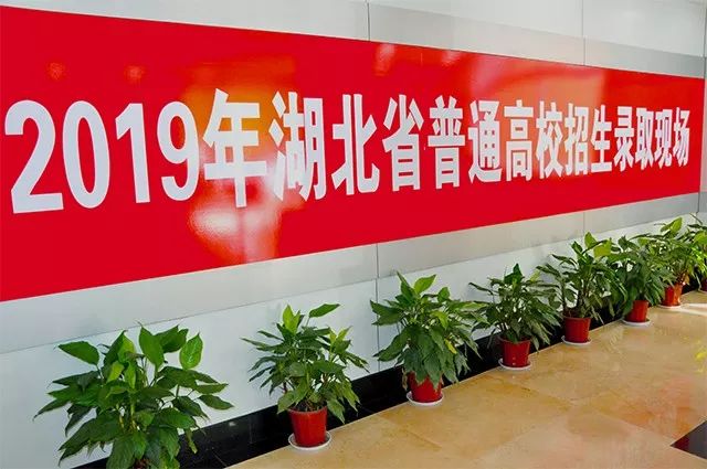 湖北省艺术本科(一)校考自发证梯度志愿第一志愿投档线公布