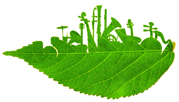 2022年中国乐器行业影响力20大要闻