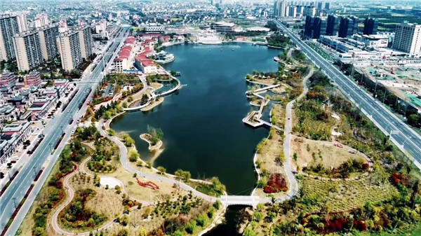 江苏泰兴：“绿岛”，让琴声更响亮