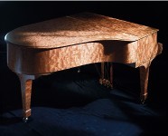 2012中国（上海）国际乐器展览会展品推荐