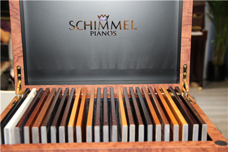 上海国际乐器展“火药味”十足