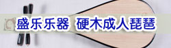 【盛乐乐器】硬木成人琵琶 普及练习琴 超值套餐 正品