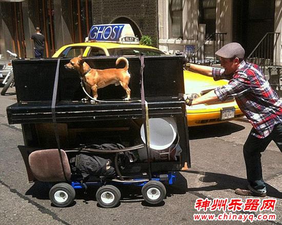 够任性！美国男子辞职带钢琴和爱犬周游世界
