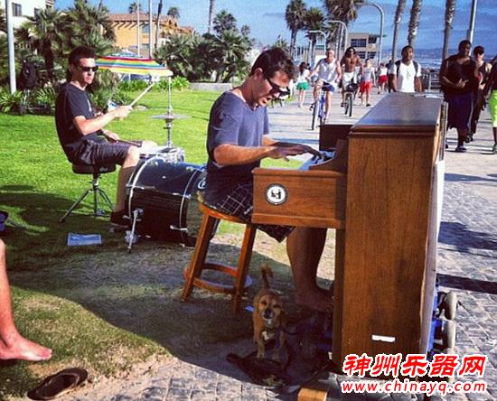 够任性！美国男子辞职带钢琴和爱犬周游世界