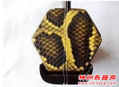 蟒皮二胡需求量巨大 制作商走私961张蟒蛇皮被抓