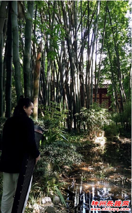 琴心傲骨 南琴创始人张友 追寻漫漫古琴路