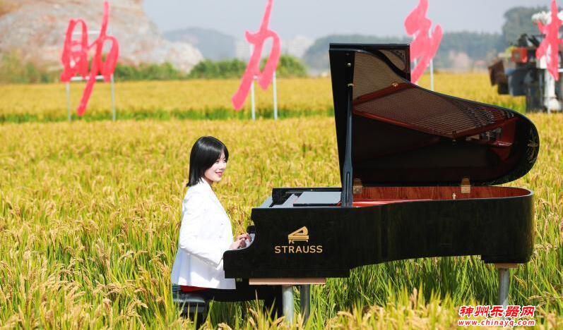 浙江湖州：稻花香里奏响丰收曲
