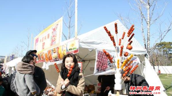 中华传统文化喜庆中国年活动