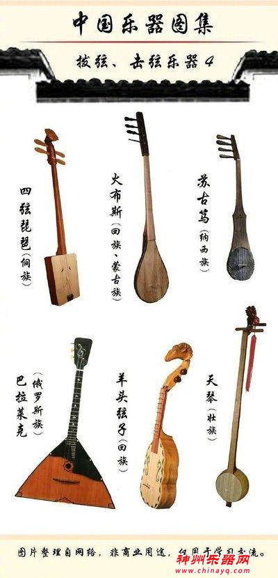 乐器种类大揭秘