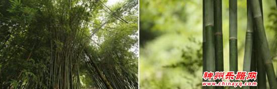 下坝岩底苗族长竹舞