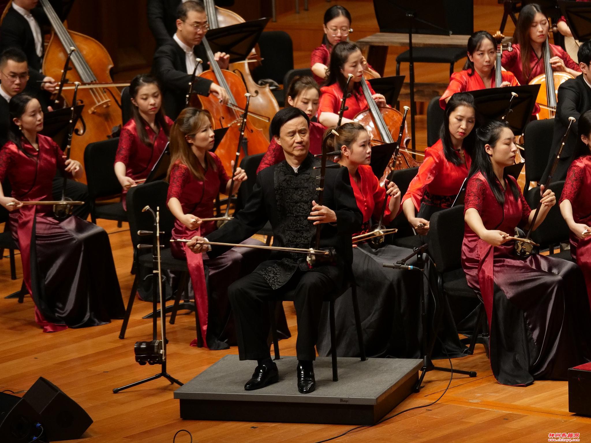 让琴声细诉，为江南情倾