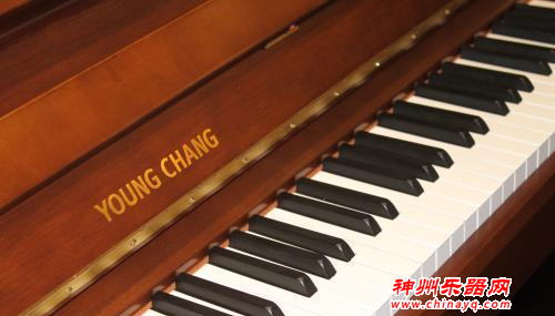 钢琴大牌相比较，究竟选哪个？
