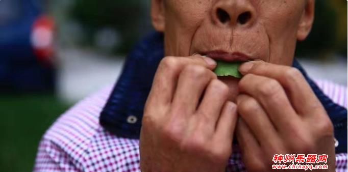 保洁大爷意外“走红” 一叶成曲“吸粉”无数