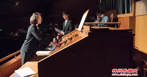 一种神秘的乐器