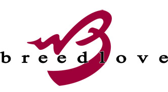 内外兼备的Breedlove Solo 系列3款评测