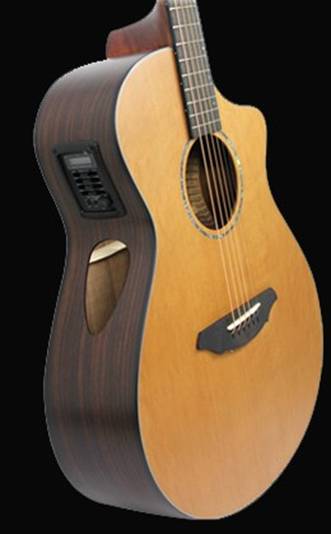 内外兼备的Breedlove Solo 系列3款评测