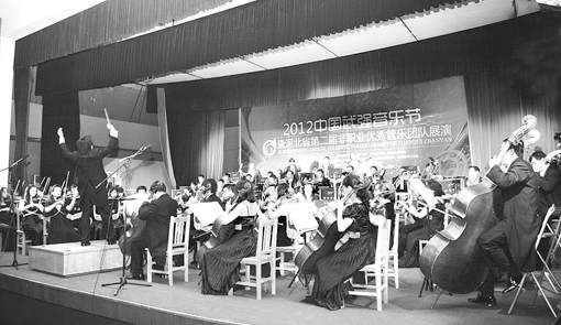 河北交响乐团在武强麦田音乐节上引爆夏日激情