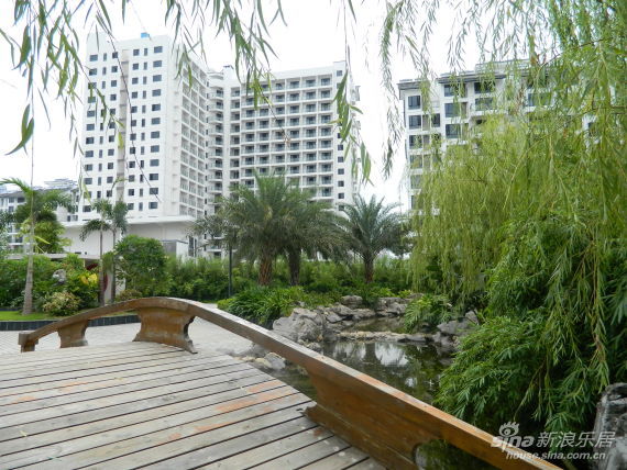 风景优美的空中花园