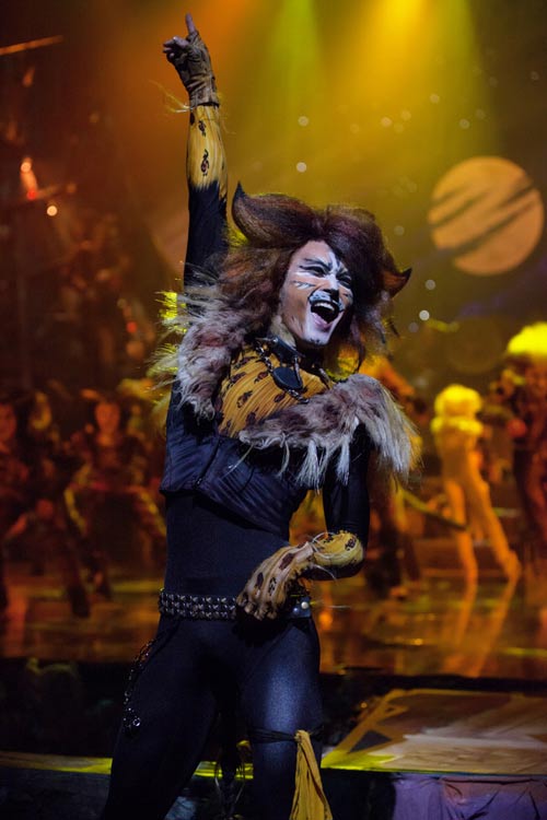 《猫》引领“猫”风尚 各路喵星人共度欢乐夜