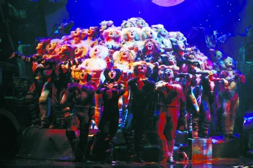 《猫》今晚在郑州开唱