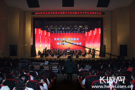 2014年河北省学校普及高雅艺术活动衡水第一中学交响音乐会现场。张艳春 提供