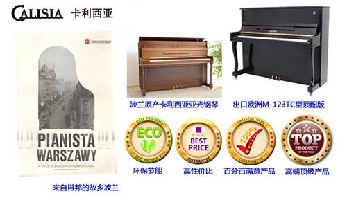 星海卡利西亚M-123TC钢琴招标价4.69万?