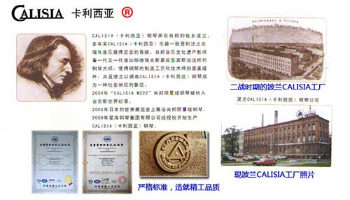 星海卡利西亚M-123TC钢琴招标价4.69万?