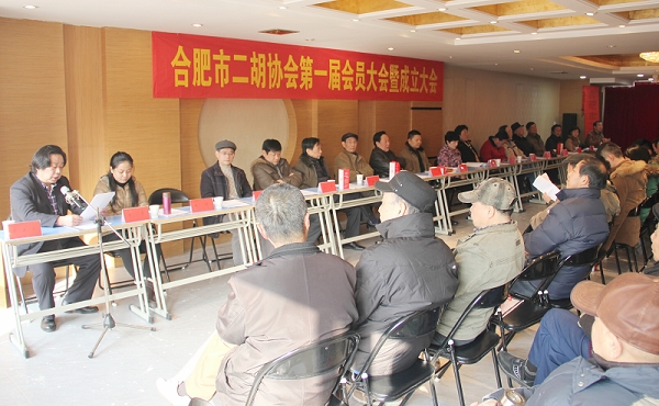 合肥市成立二胡协会