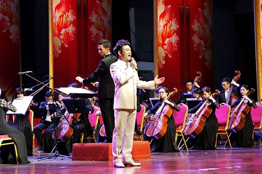 广西歌手廖鸿飞在音乐会上献唱