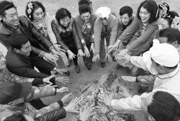 阳高县草根艺术团唱响山野